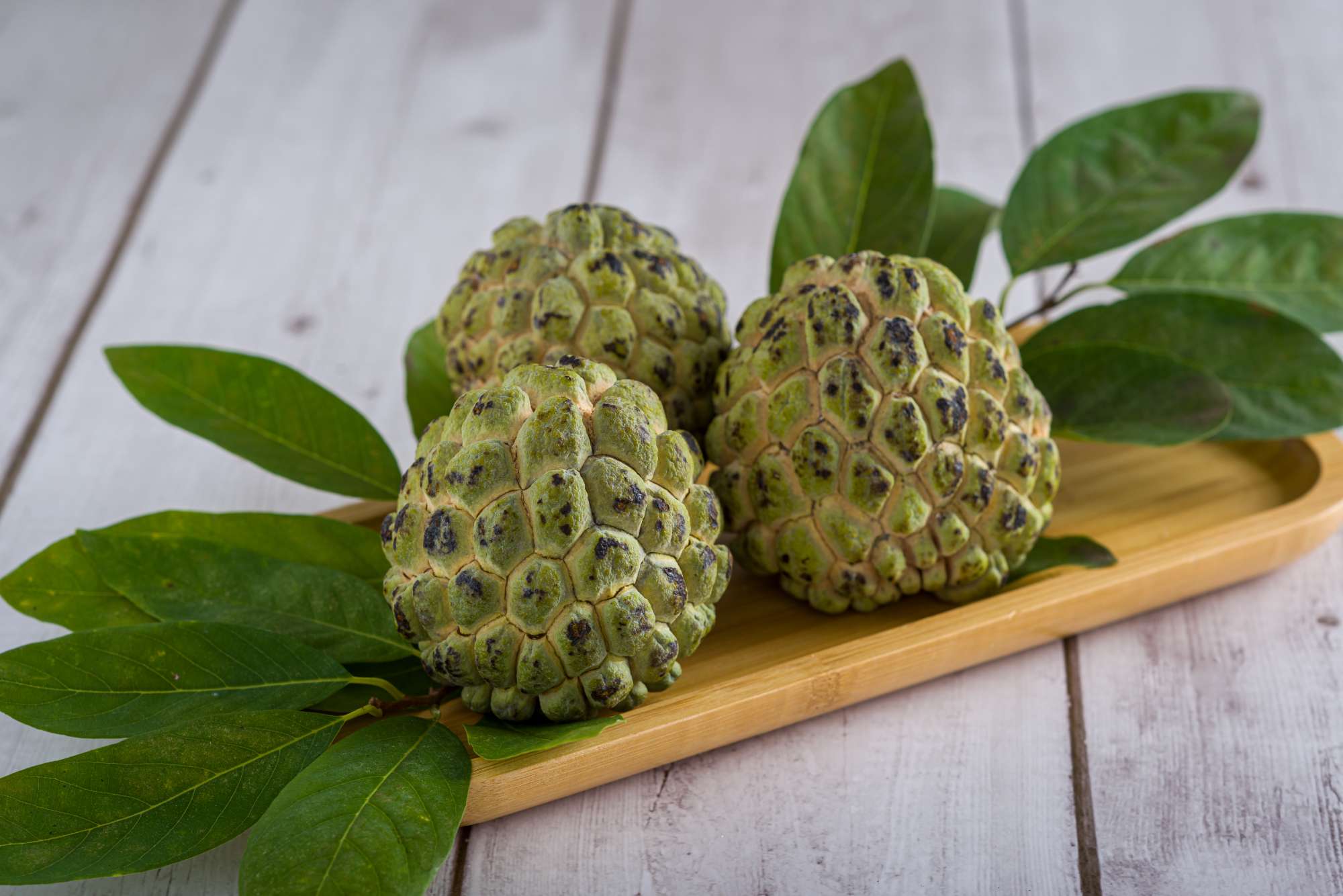 Sweetsop (annona squamosa) is an excellent source of phytochemicals and antioxidants